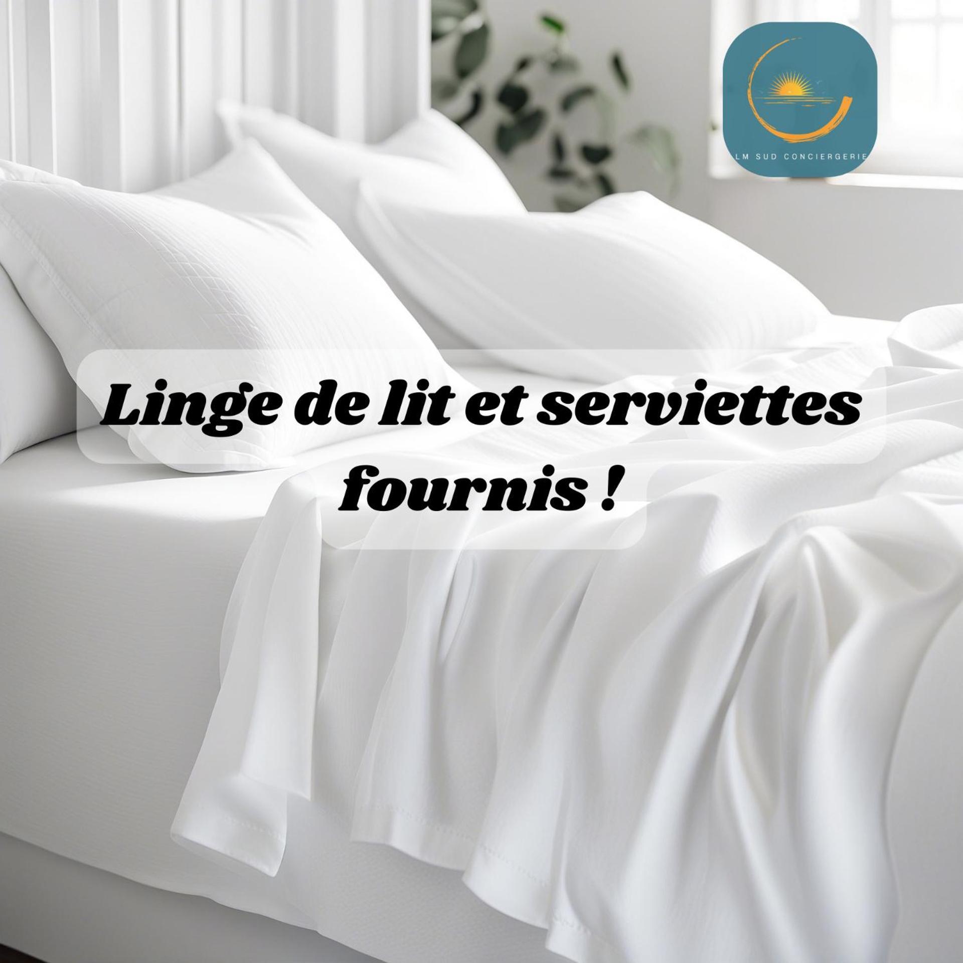 * F3 Haussmannien, Centre-Ville, 4 Pers, Wifi * Montpellier Zewnętrze zdjęcie