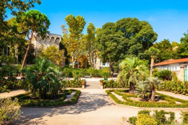 * F3 Haussmannien, Centre-Ville, 4 Pers, Wifi * Montpellier Zewnętrze zdjęcie